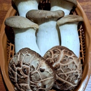 버섯 추가 메뉴 사진(네이버)