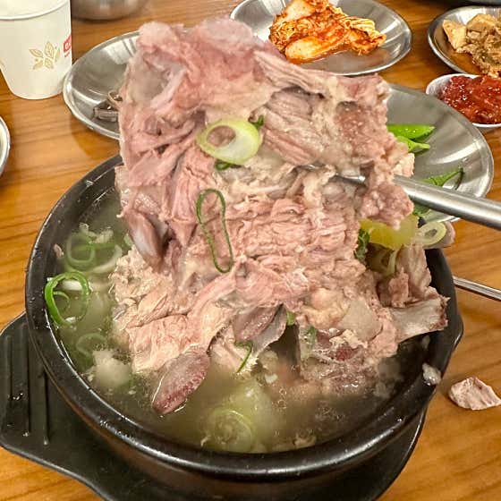 제주해장국 노형드림타워점