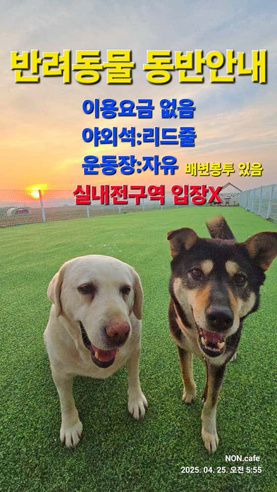 카페논 · 네이버 지도·플레이스 2