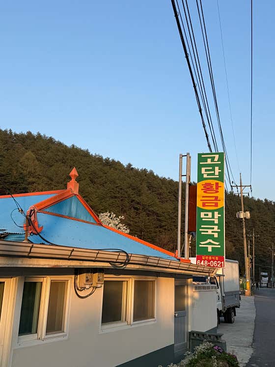 고단황금막국수