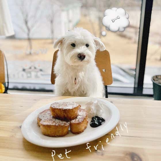 할리우드 · 네이버 지도·플레이스 2
