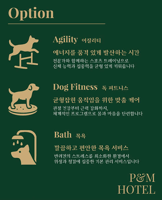 P&M 반려견교육센터 대전점 · 네이버 지도·플레이스 7
