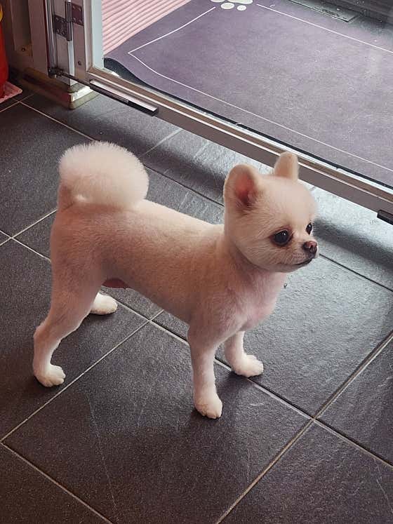 너애개만 · 네이버 지도·플레이스 3