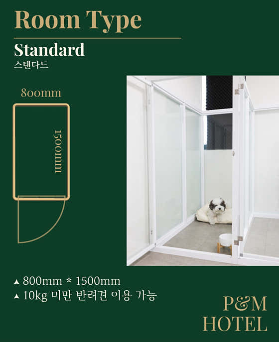 P&M 반려견교육센터 대전점 · 네이버 지도·플레이스 4