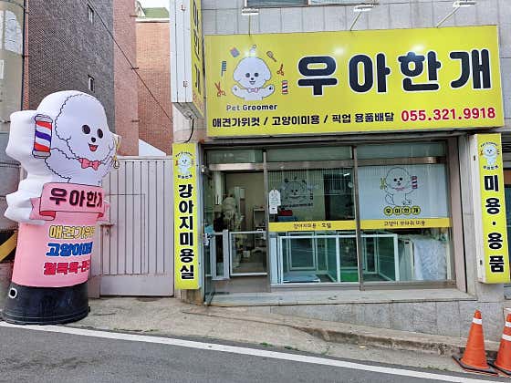우아한개 냥이 · 네이버 지도·플레이스 2