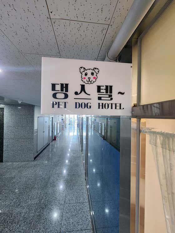 댕스텔 · 네이버 지도·플레이스 3