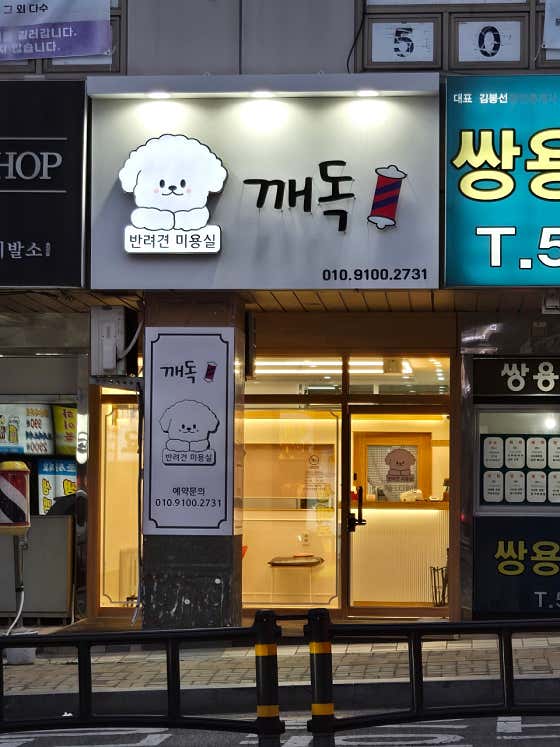 깨독