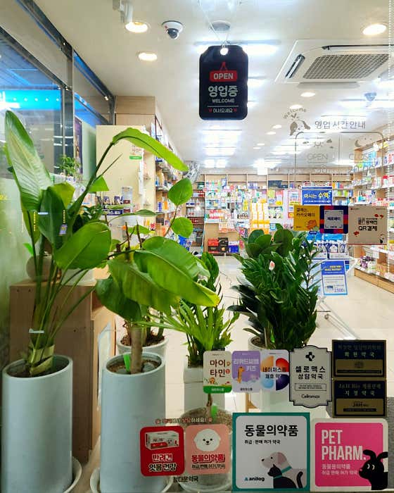 장림정다운약국 · 네이버 지도·플레이스 3