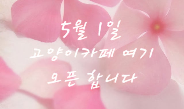 고양이카페여기 대표 사진