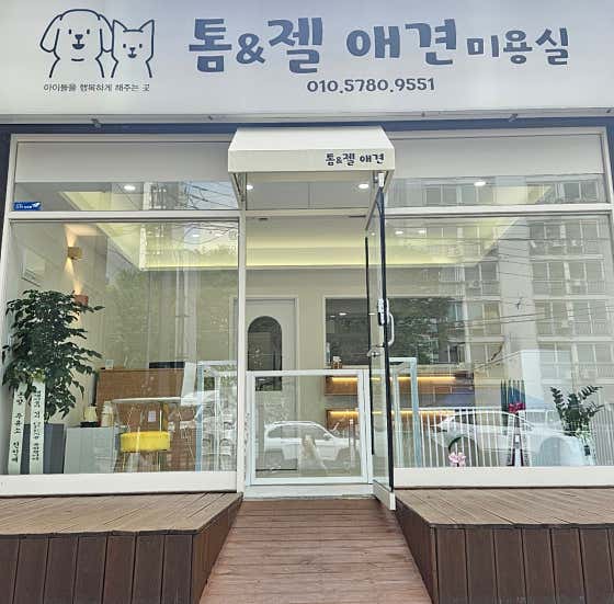 톰&젤애견미용실 · 네이버 지도·플레이스 2