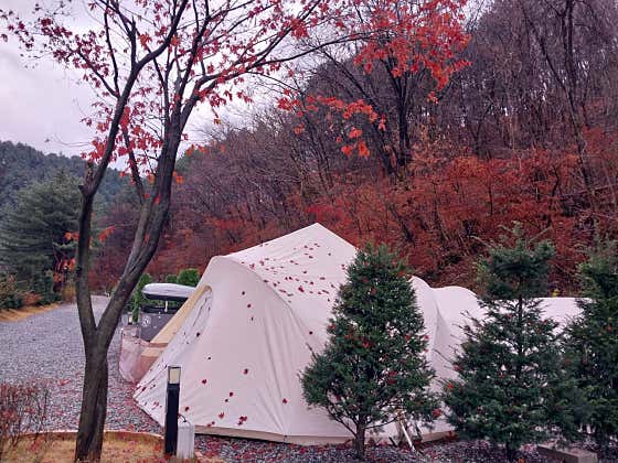 산정호수돌고래캠핑장 · 네이버 지도·플레이스 10