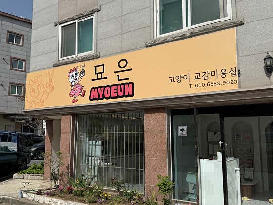 묘은 · 네이버 지도·플레이스 2