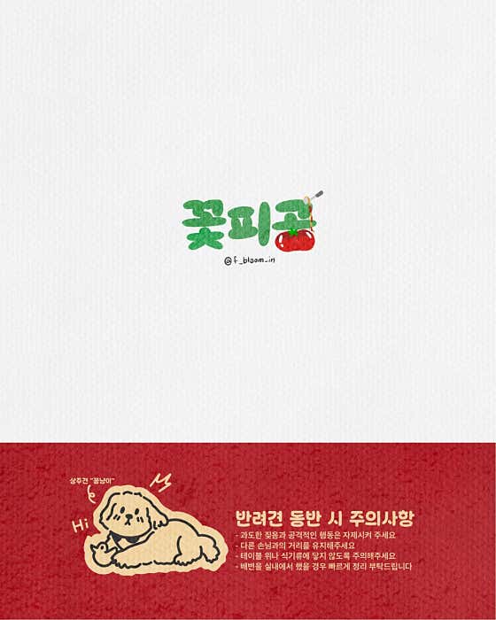 꽃피공