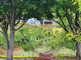 글램핑 더마루 사진