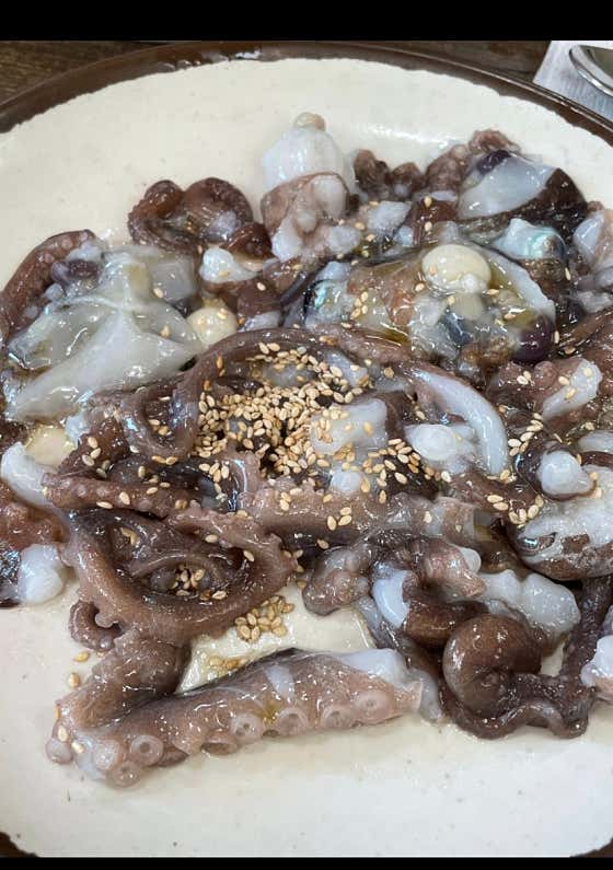 산낙지 메뉴 사진(네이버)
