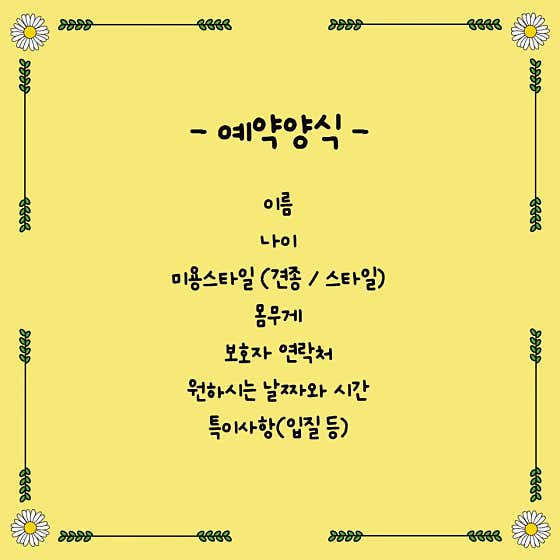 애견미용실 몽자네 · 네이버 지도·플레이스 6