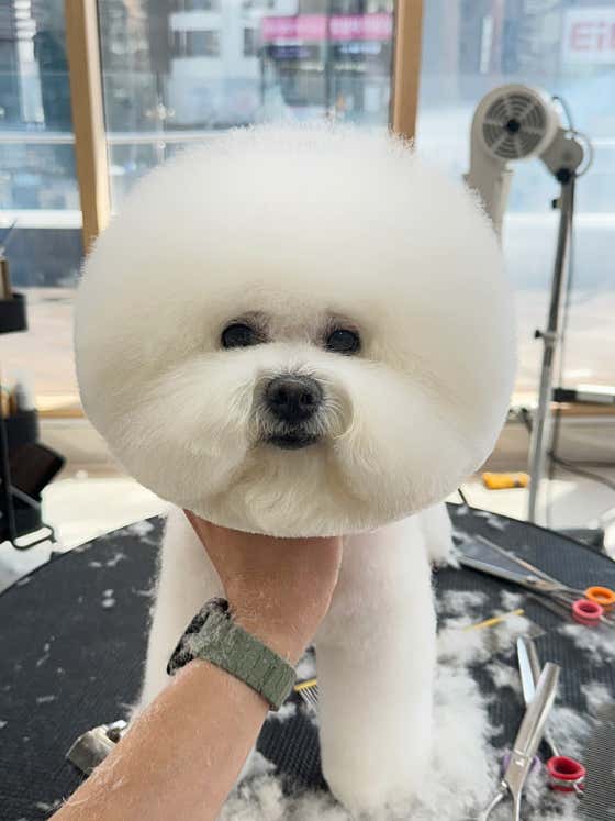 에브리뽀송 · 네이버 지도·플레이스 5