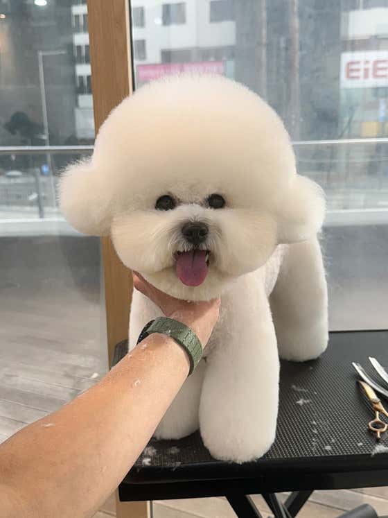 에브리뽀송 · 네이버 지도·플레이스 2