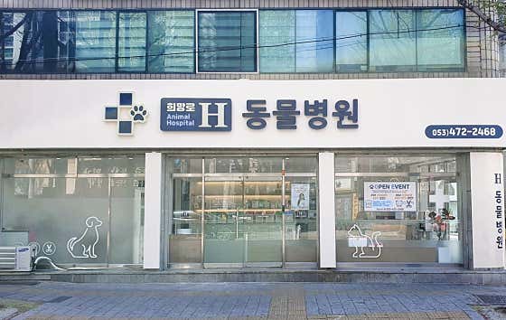 희망로H동물병원 · 네이버 지도·플레이스 2