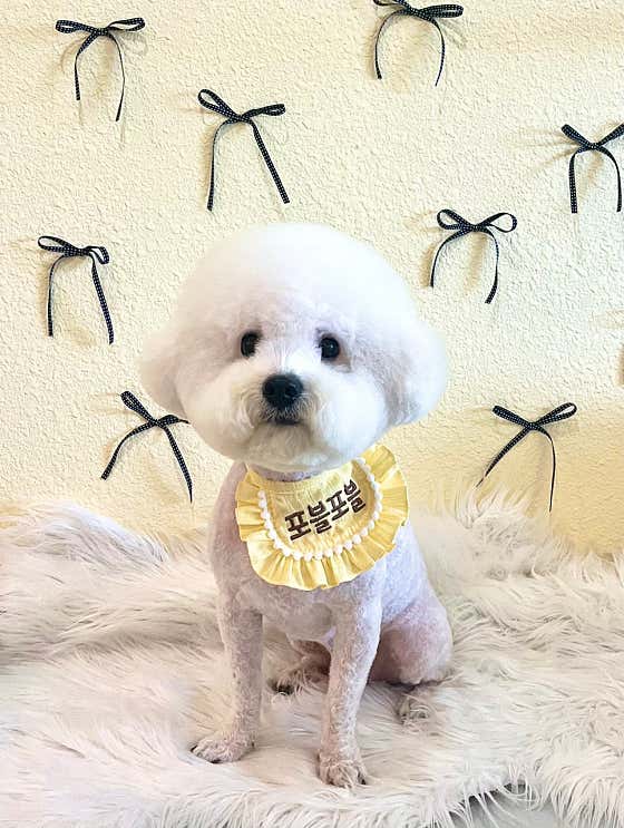 포블포블 · 네이버 지도·플레이스 2