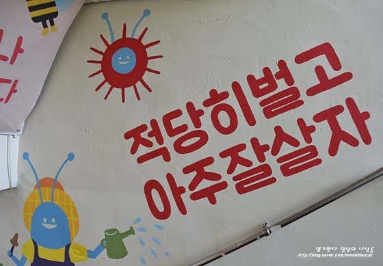 경기 과천시 에어컨청소 업체 추천 top5 과천배반장