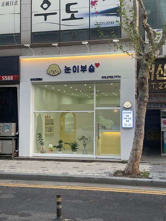 눈이부숑