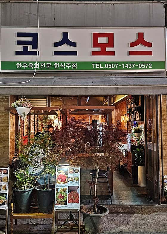코스모스