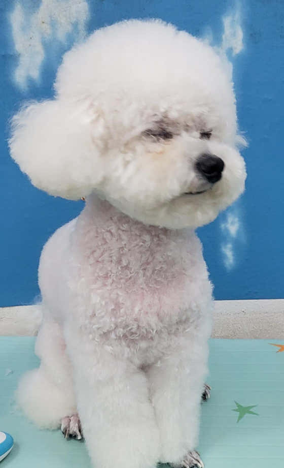 헬로멍 · 네이버 지도·플레이스 5