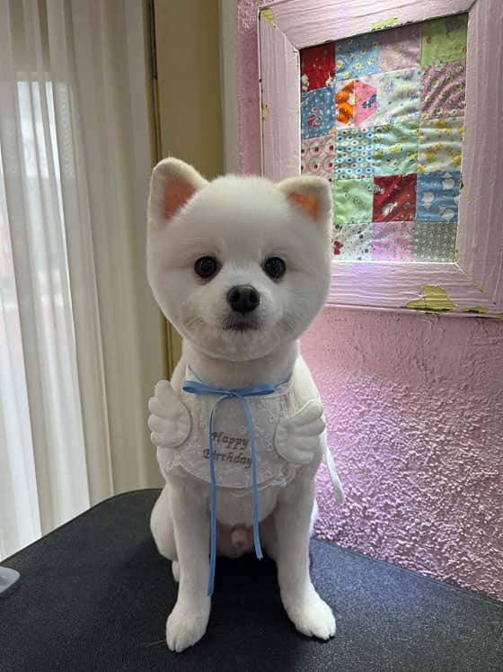 짱짱이네 · 네이버 지도·플레이스 3