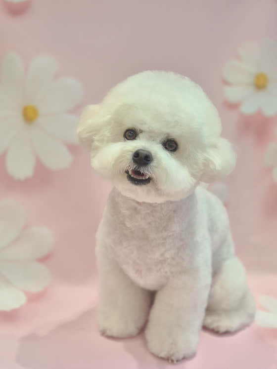 엘리독 · 네이버 지도·플레이스 6