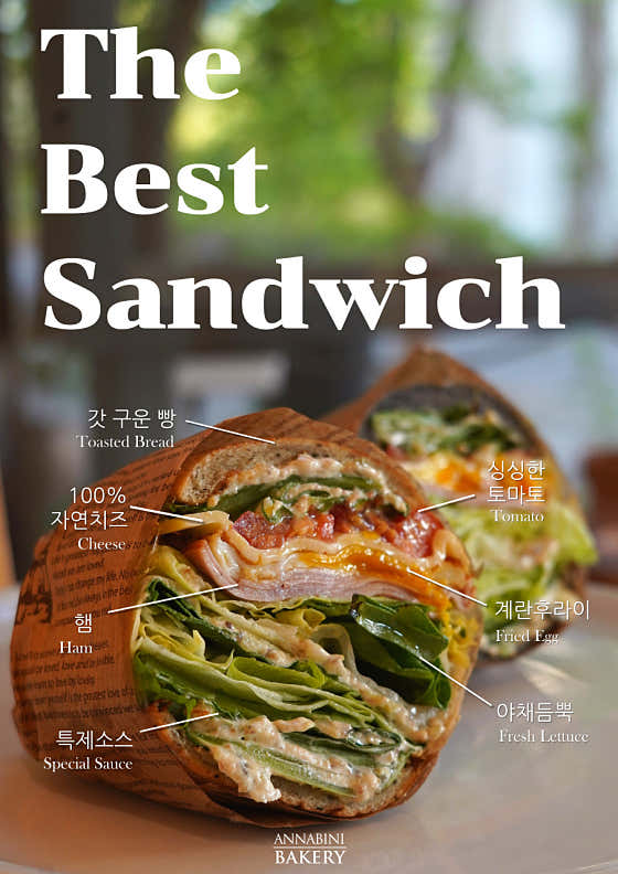 안나비니