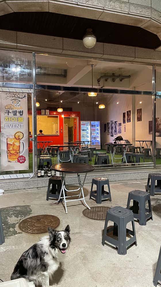 구팔범맥주창고