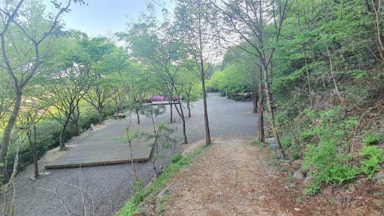 금동산야 대표이미지