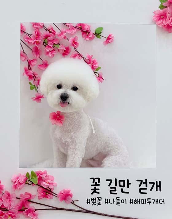 해피투개더 · 네이버 지도·플레이스 3
