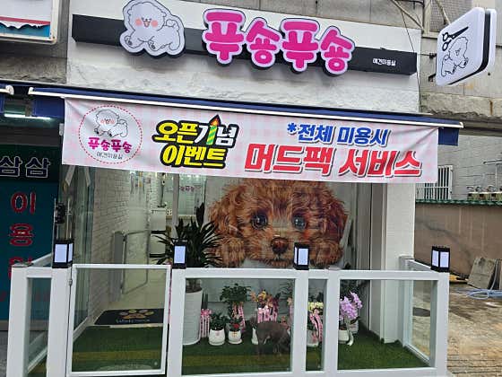 푸숑푸숑 · 네이버 지도·플레이스 2