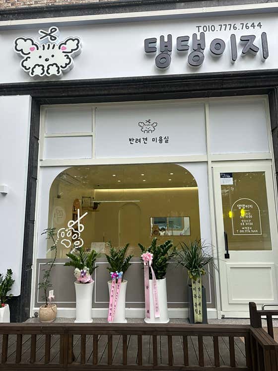 댕댕이지 · 네이버 지도·플레이스 2