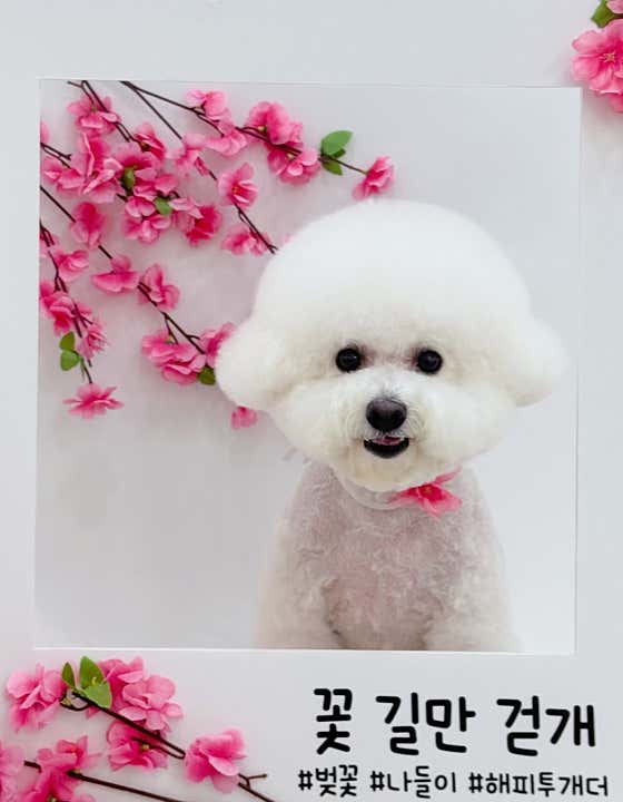 해피투개더 · 네이버 지도·플레이스 2