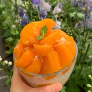 음료 메뉴 사진(네이버)
