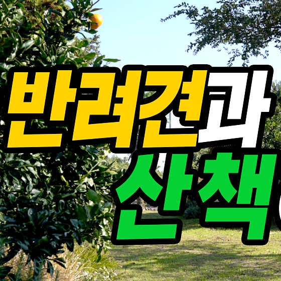 국수인가갈치인가 성산본점 · 네이버 지도·플레이스 4