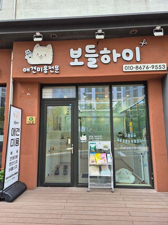 보들하이 대표이미지