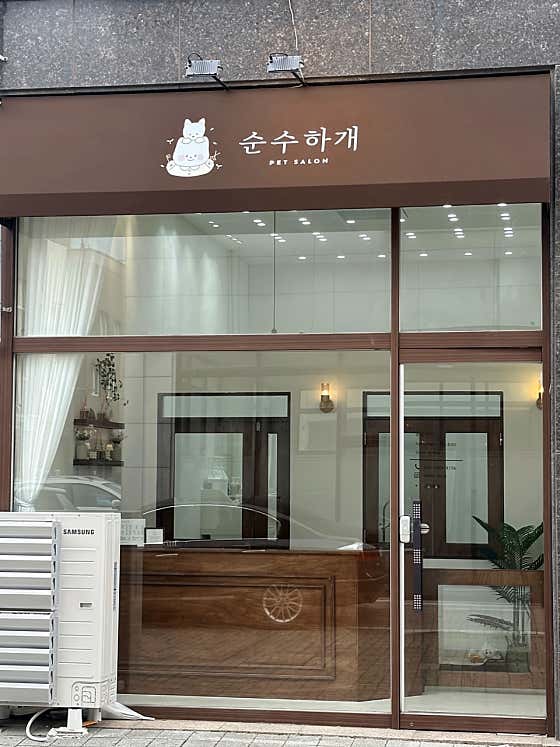 순수하개 · 네이버 지도·플레이스 2