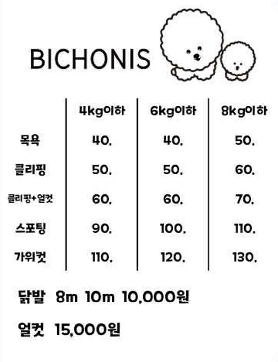 비숑이즈