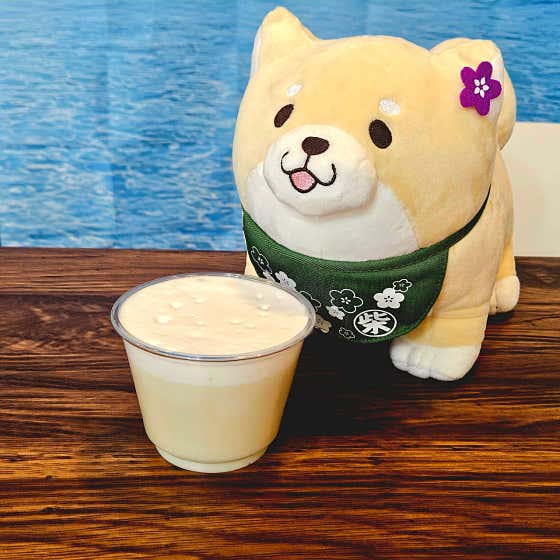 멍푸치노🐶 메뉴 사진(네이버)