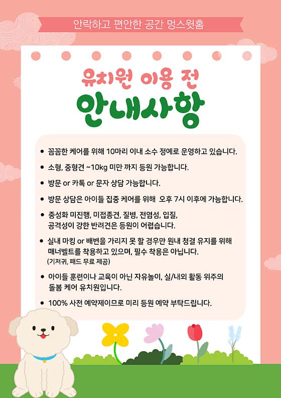 애견유치원&강아지놀이방 멍스윗홈 · 네이버 지도·플레이스 3