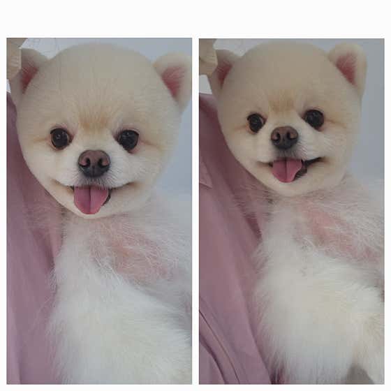 빙구네 미용실 대표이미지