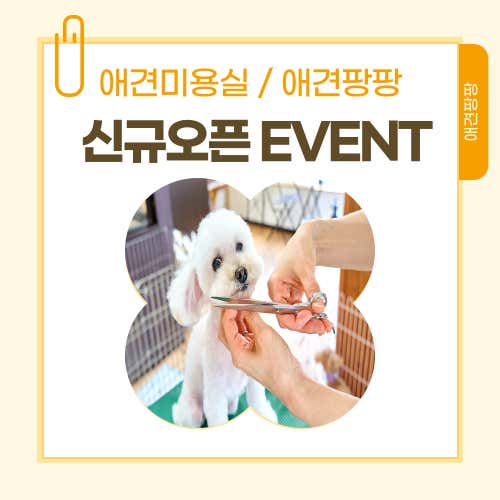 애견팡팡