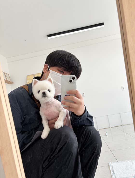 댕 그루밍 · 네이버 지도·플레이스 2