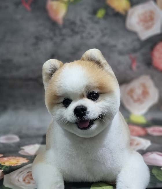 개선생 · 네이버 지도·플레이스 2