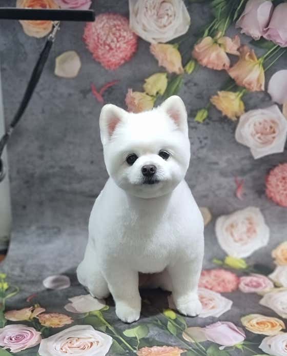 개선생 · 네이버 지도·플레이스 3