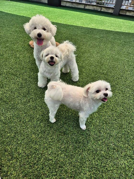 개스트하우스 · 네이버 지도·플레이스 3